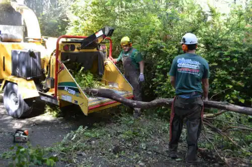 tree services New Union